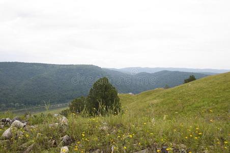 照片村民山