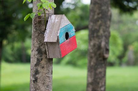 颜色鲜艳的小鸟笼采用指已提到的人绿色的花园