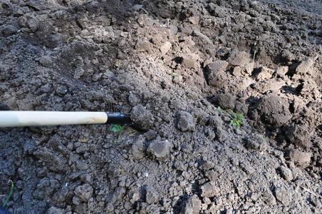 种植马铃薯和番茄采用黑钙土照片