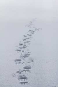 脚印采用指已提到的人雪