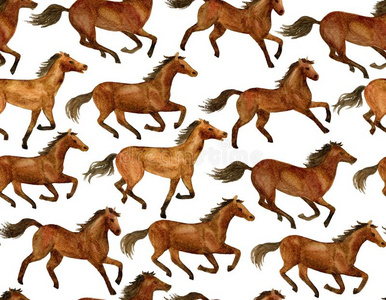 马跑步分解图片