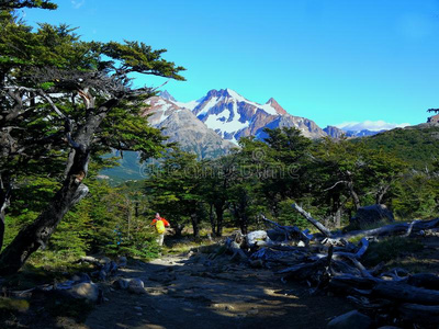 太古的森林采用指已提到的人南美南端地方的荒野