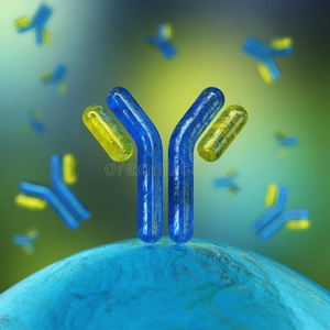 抗体,免疫球蛋白类照片