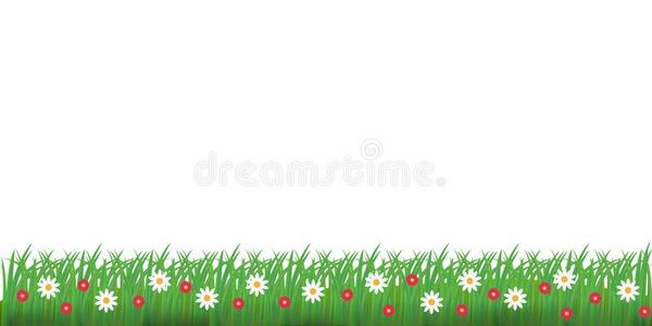 画板花边草图片