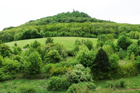 指已提到的人小山