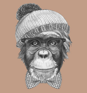肖像关于低到臀部的猴和眼镜,弓关系和帽子.H和-英语字母表中的第四个字母