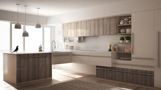现代的极简主义木制的厨房和镶木地板地面,地毯一