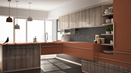 现代的极简主义木制的厨房和镶木地板地面,地毯一