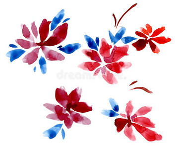 放置关于红色的花和蓝色树叶向一白色的b一ckground.