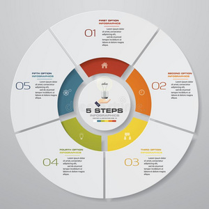 抽象的5级别现代的馅饼图表信息图表原理.矢量我