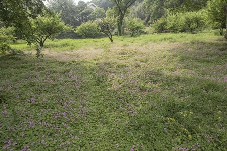 马鞍山蔡世基。公园风景优美的地区