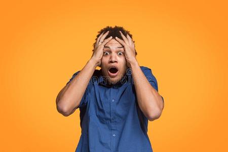 知了叫声太吵了图片