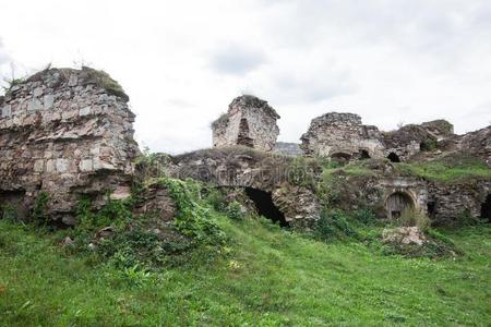 老的毁灭的雅兹洛维克叶帕特斯城堡,泰尔诺皮尔地区,乌克兰