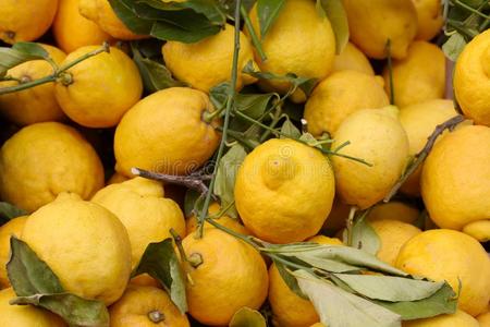 桩关于美味的新鲜的有机的柠檬为卖在一m一rket