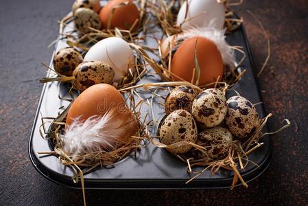 新鲜的生的鸡和鹌鹑卵采用筛子
