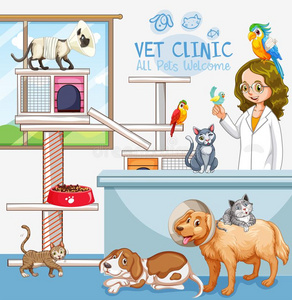 漂亮的动物照片诊所欢迎符号照片