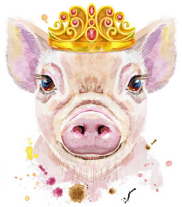 水彩肖像关于袖珍型的东西猪和罗马教皇的三重冠