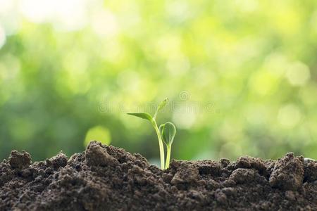 关心新生活开始新的生活主意观念照片