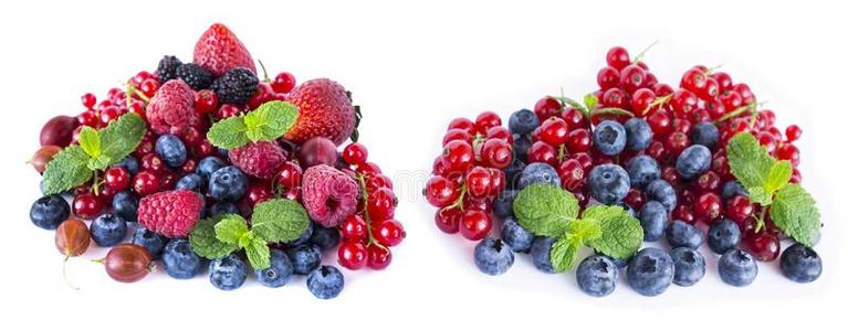 成果和浆果隔离的向白色的背景.成熟的红色的柯兰