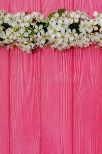 粉红色的木制的背景和开花梨树枝