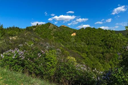 风景在近处岩石形成桩金字塔,里拉山,久斯