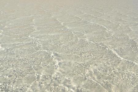 沙海滩,海岸线和水晶的清楚的水采用海.