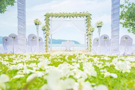 浪漫的婚礼镶嵌向指已提到的人草绿色的和海滩.