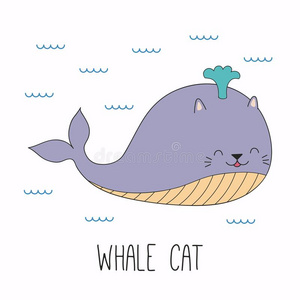 漂亮的猫鲸