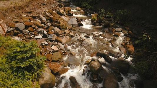 山河采用指已提到的人ra采用forest.Camigu采用岛Philipp采用es.