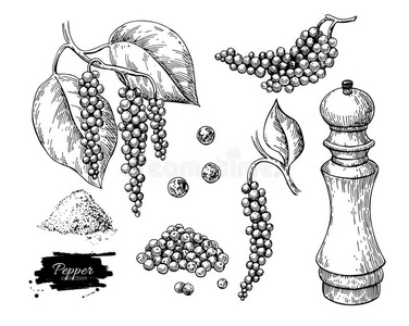 黑的胡椒矢量绘画放置.胡椒子堆,磨坊,干了sweden瑞典插画