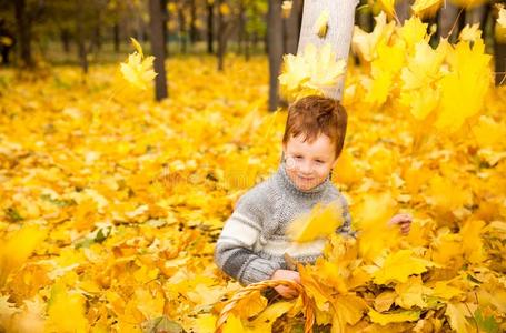 秋肖像关于美丽的小孩.幸福的小的男孩和树叶
