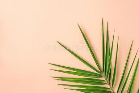 桃色背景摄影图 桃色背景图片大全 桃色背景照片 摄图新视界 桃色背景摄影图 桃色背景图片大全 桃色背景照片 摄图新视界