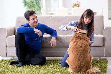 指已提到的人幸福的家庭和金色的寻猎物犬狗