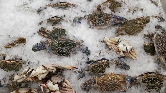 洋海产食品蟹