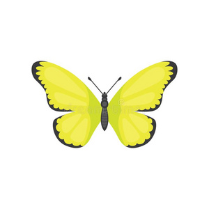 富有色彩的蝴蝶矢量设计说明.夏虫