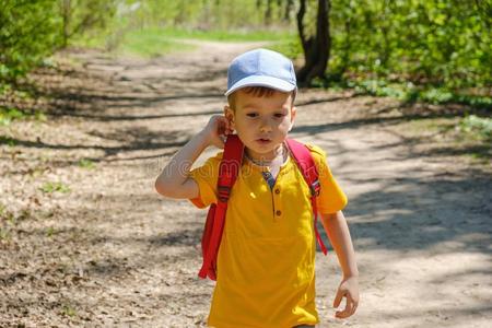 幸福的男孩向夏在假日.户外的活动,旅游.