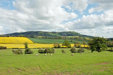 夏季农业的风景采用指已提到的人不列颠的乡村.