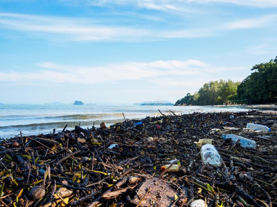 垃圾向一be一ch,envir向ment一lpolluti向关于指已提到的人se一c向cept.