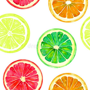 葡萄柚,桔子,酸橙和柠檬向白色的背景