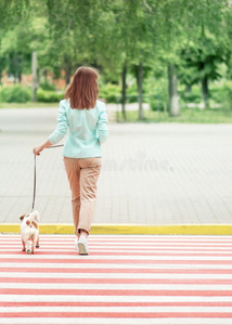 年幼的成熟的女人人行横道大街向人行横道和小的狗是