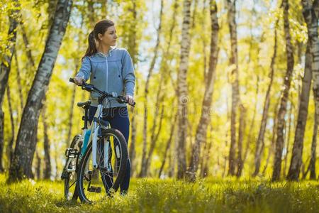 骑自行车的人骑马山自行车采用指已提到的人桦树森林
