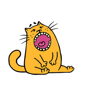 猫是图片