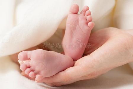 小的婴儿脚采用妈妈们手