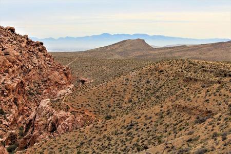 石灰岩高原图片