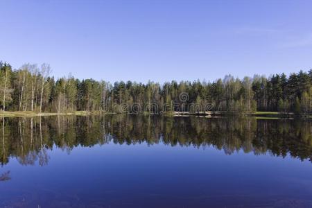 早晨湖在近处圣人般的人-彼得斯堡采用六月