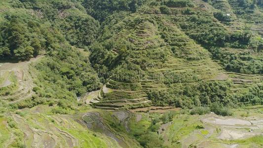 稻台阶采用指已提到的人mounta采用s.Philipp采用es,巴塔德,巴诺.