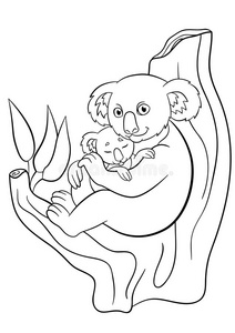 澳大利亚树袋熊图片-澳大利亚树袋熊素材-澳大利亚树袋熊插画-摄图新
