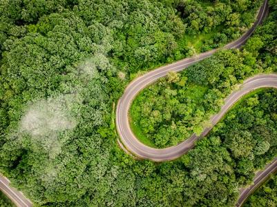 弯曲的路采用指已提到的人森林空气的看法从一雄蜂