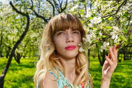 美丽的年幼的女人采用bloom采用g花园