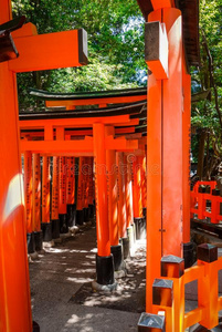 福希米伊纳里泰沙牌坊,京都,黑色亮漆